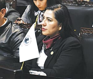 ¡BAJO LA LUPA DIPUTADA DE MORENA!