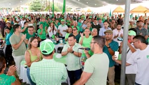 ¡SE PINTAN DE VERDE!