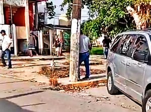 ¡ABUELITO MUERE AL CAER DE ÁRBOL QUE PODABA!