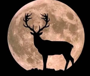 ¡LUNA DE CIERVO Y LLUVIAS DE METEOROS!