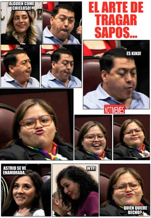 NOTI-MEME | - EL ARTE DE TRAGAR SAPOS...
