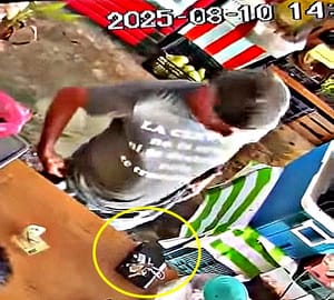 ¡CARTERISTA ROBÓ BOLSO DE MANO EN LA POLLERÍA CHELY!