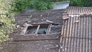 ¡LOS “BOMBARDEAN”! - AY NANITAS