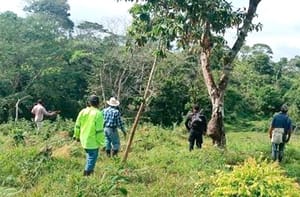 ¡MUERE CAMPESINO Y SU SOBRINO AL SER IMPACTADOS POR UN RAYO! - EN EL MUNICIPIO DE LAS CHOAPAS