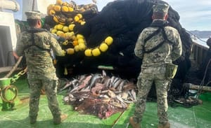 ¡DECOMISAN PESCA ILEGAL! - MÁS DE 4 MIL TONELADAS