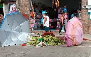 ¡SURGE LADY ELOTES!