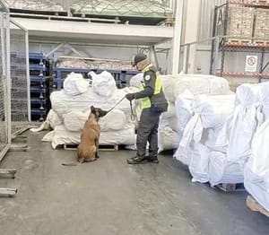 ¡ENCUENTRAN FENTANILO EN EL AIFA!