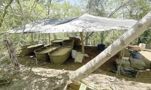 ¡ASEGURAN 21 TONELADAS DE METANFETAMINA EN DURANGO!