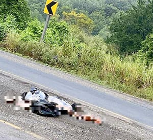 ¡IDENTIFICAN A LOS DESCUARTIZADOS DE ALAMO!