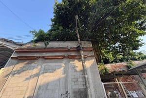 ¡ESTÁN ENCERRADOS LOS GATOS!