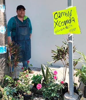 ¡CAMBIAN PLANTITAS POR COMIDA!