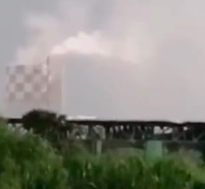 ¡YA SALIÓ EL PEINE!