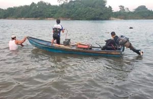 ¡ALERTA EN EL PAPALOAPAN! - POR LA PRESA CERRO DE ORO