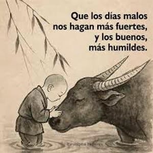 VIVIENDO CON SENTIDO | LA INDIFERENCIA - La cualidad más atractiva en un hombre no es su apariencia, ni el dinero que tiene, ni la labia con la que intenta impresionar. La verdadera cualidad...