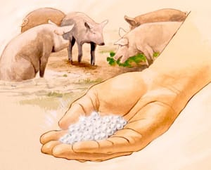 VIVIENDO CON SENTIDO | EL SECRETO DEL DUELO - El duelo no siempre es por la muerte de alguien. La Kabbalah enseña que también hacemos duelo por un sueño que no se cumplió...