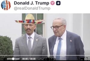 ¡TRUMP PUBLICÓ UN VIDEO PARA INSULTAR A DEMÓCRATAS EN EL QUE PUSO A UNO DE ELLOS UN SOMBRERO Y BIGOTE, CON UNA CANCIÓN DE MARIACHI DE FONDO!