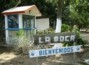 ¡AHORA SE PELEAN EL TERRENO DE LA ROCA!