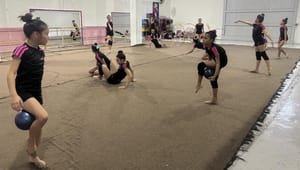 ¡GIMNASTAS AL ESTATAL 2025!