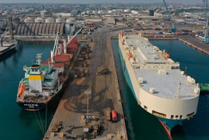 ¡NINGUNO BAJO LA LUPA! - LEY ADUANERA