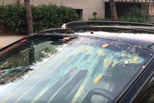 ¡LANZAN HUEVO AL PARABRISAS PARA ROBAR CAMIONETA LAND ROVER!