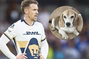 ¡OFRECE RAMSEY RECOMPENSA DE 10MD PARA RECUPERAR A SU PERRO!