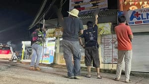 ¡AUTODEFENSAS! - EN OTEAPAN