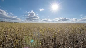 ¡QUIEREN METER REVERSA A ARANCELES DE DONALD TRUMP EN TODO EL MUNDO! - SENADO DE EU