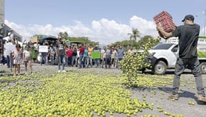 ¡DESDE 2021 SEDENA SABE QUIÉNES EXTORSIONAN A LOS LIMONEROS!