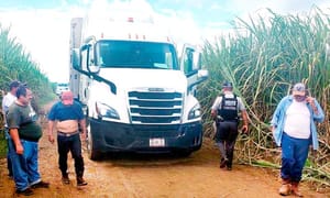 ¡GN ASEGURÓ TRÁILER ROBADO EN CAÑALES DE COSAMALOAPAN!