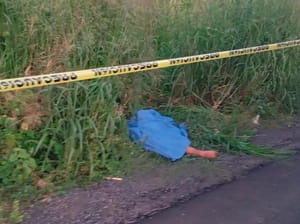 ¡LOCALIZAN SIN VIDA A HOMBRE EN LA CARRETERA PASO DEL TORO!