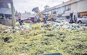 ¡PIERDE MÉXICO 20.4 MILLONES DE TONS. DE ALIMENTOS AL AÑO!
