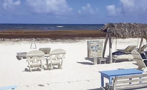 ¡COMERCIANTES PIDEN PERDÓN A TURISTAS POR MALOS TRATOS Y PRECIOS EXORBITANTES!