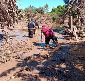 ¡18 MUERTOS! - Y SIGUEN AUMENTANDO