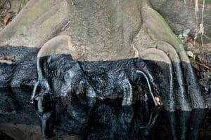 ¡DAMNIFICADOS TRAS DERRAMES! - *Primero el agua, ahora el petróleo