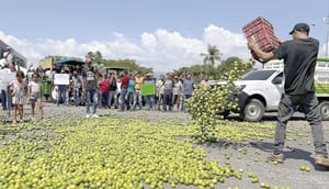 ¡MICHOACÁN: PAGAR O MORIR!