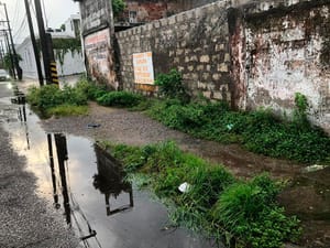 ¡ABUELITA CASI PIERDE UN OJO EN PREDIO ABANDONADO DEL ADO!