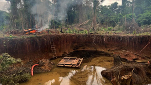 ¡COLOMBIA DE LA CONTAMINACIÓN POR MERCURIO QUE DEJA LA MINERÍA XILEGAL DE ORO!