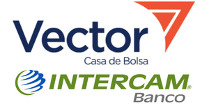 ¡SUSPENDEN VECTOR E INTERCAM OPERACIONES EN MÉXICO!