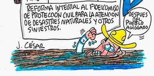LOS CARTONES