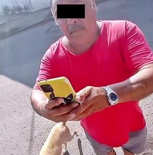 ¡REPORTAN A VECINO POR DEJAR SUELTOS A SUS PERROS!