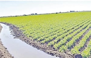 ¡AJUSTAN LEY DE AGUAS!