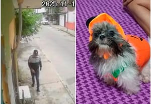 ¡SE LLEVARON A “RONY”!