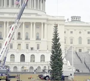 ¡LLEGA MEGA- ÁRBOL DE NAVIDAD AL CAPITOLIO!