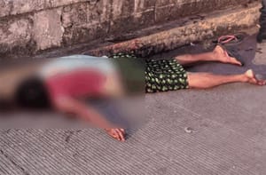 ¡SOBRINO MATO A SU TÍA! - EL JOVEN LA ATACO A MACHETAZOS Y DESPUÉS LE CORTO LA GARGANTA