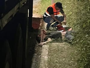 ¡SE ESTRELLA CONTRA JAULA CAÑERA Y PIERDE LA VIDA!