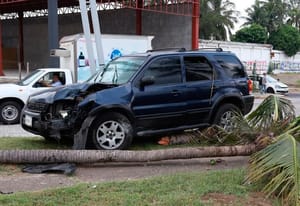 ¡SE IMPACTÓ CONTRA PALMERA Y LUMINARIA!
