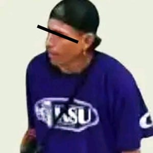 ¡“RATOTA” ROBA EN RESIDENCIAS Y COMERCIOS EN JOYAS DE MOCAMBO!