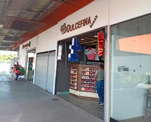 ¡SOLITARIO PISTOLERO ROBÓ 32 MIL PESOS DE “DULCEFINA SNACK” EN LA BRUNO PAGLIAI!