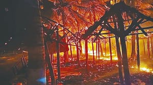 ¡ARDEN 250 PALAPAS! - EN QUINTANA ROO