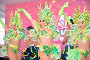 ¡PURAS ESTRELLAS! - PA*L CARNAVAL